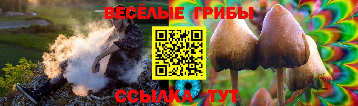 Псилоцибиновые грибы ЛСД  как найти закладки  Красноармейск  Вход с VPN 